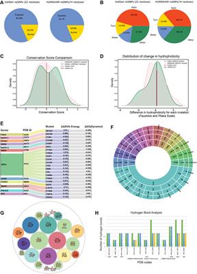 Comprehensive Assessment of Indian Variations in the Druggable Kinome Landscape Highlights Distinct Insights at the Sequence, Structure and Pharmacogenomic Stratum